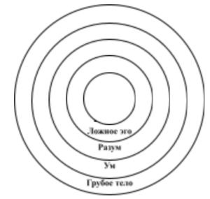 Урок 31.  Составляющие элементы материального тела и причины, приводящие к его формированию