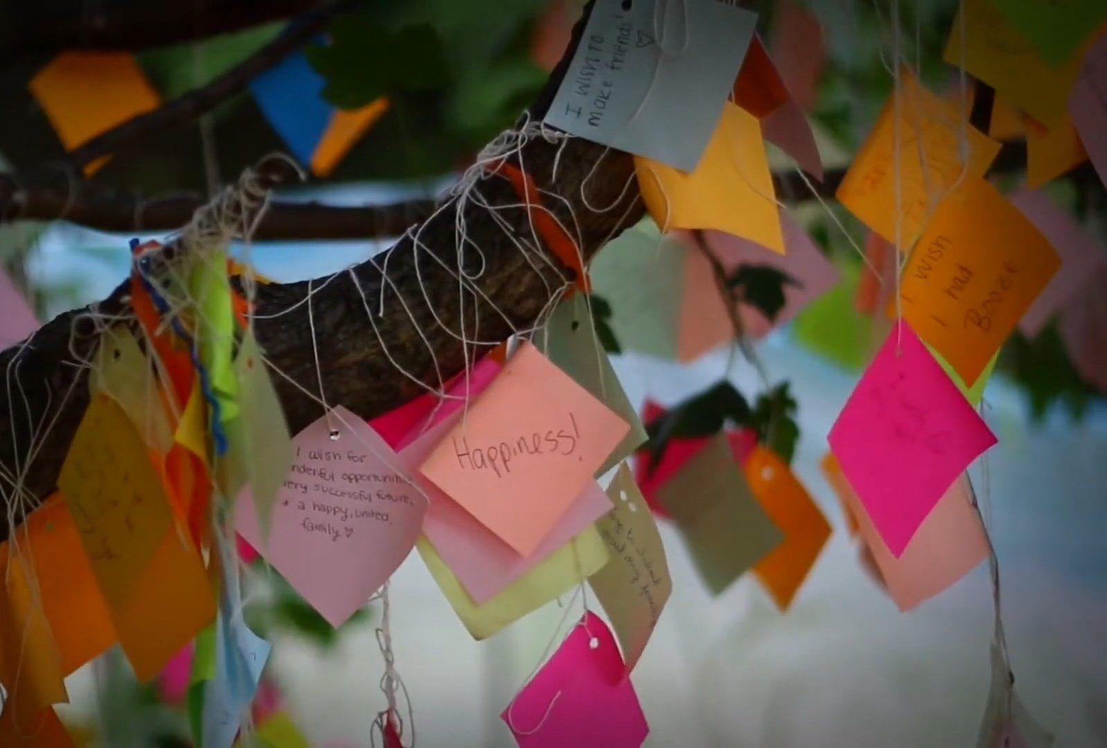 Дерево желаний